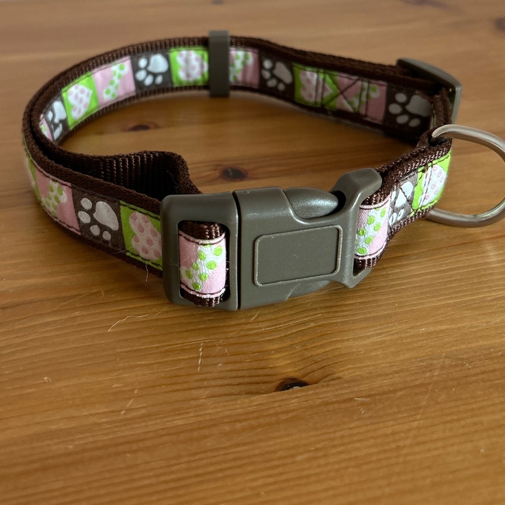 Dog 🐕 Collar